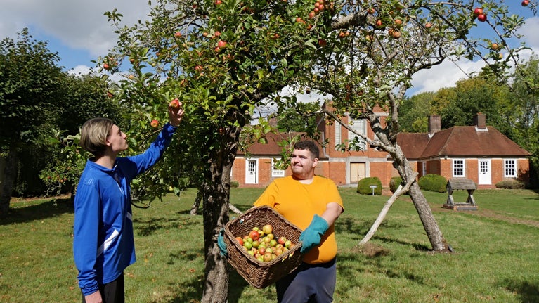 A student picks fruit from a tree in front of the chapel while another student holds a basket of apples.
